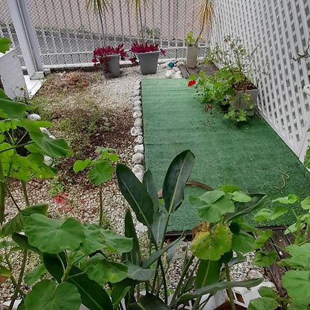 Casa Inteira 2 Dorm Minimo 3 Dias Villa Куритиба Екстериор снимка
